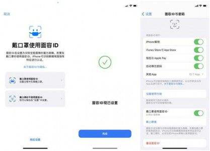 苹果手机升级15版本后浏览器总闪退苹果手机升级到1531后一直闪退-第2张图片-亚星国际官网
