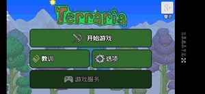 手机版泰拉瑞亚怎么下正版苹果泰拉瑞亚电脑版可以和手机版联机吗