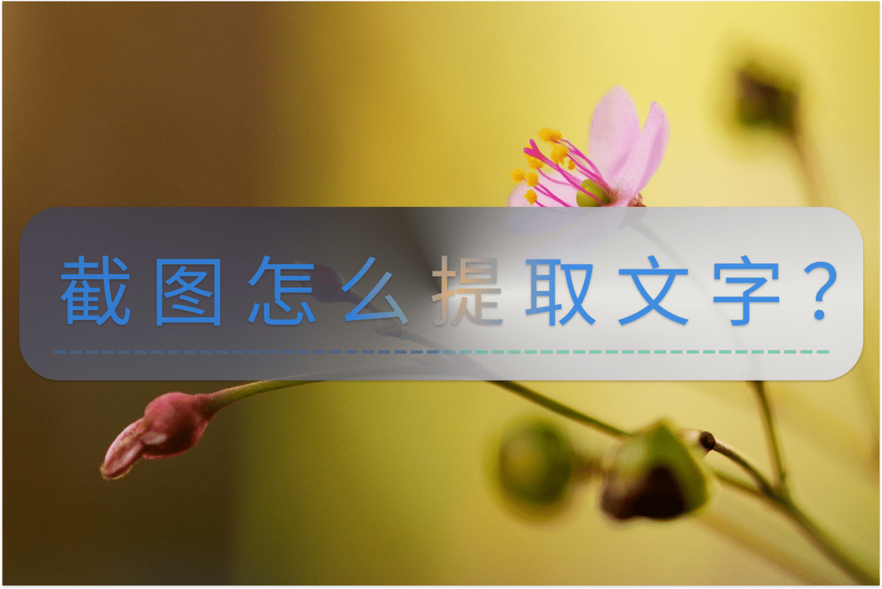 oppo手机怎么截屏:截图怎么提取文字？这些方法不能不知道