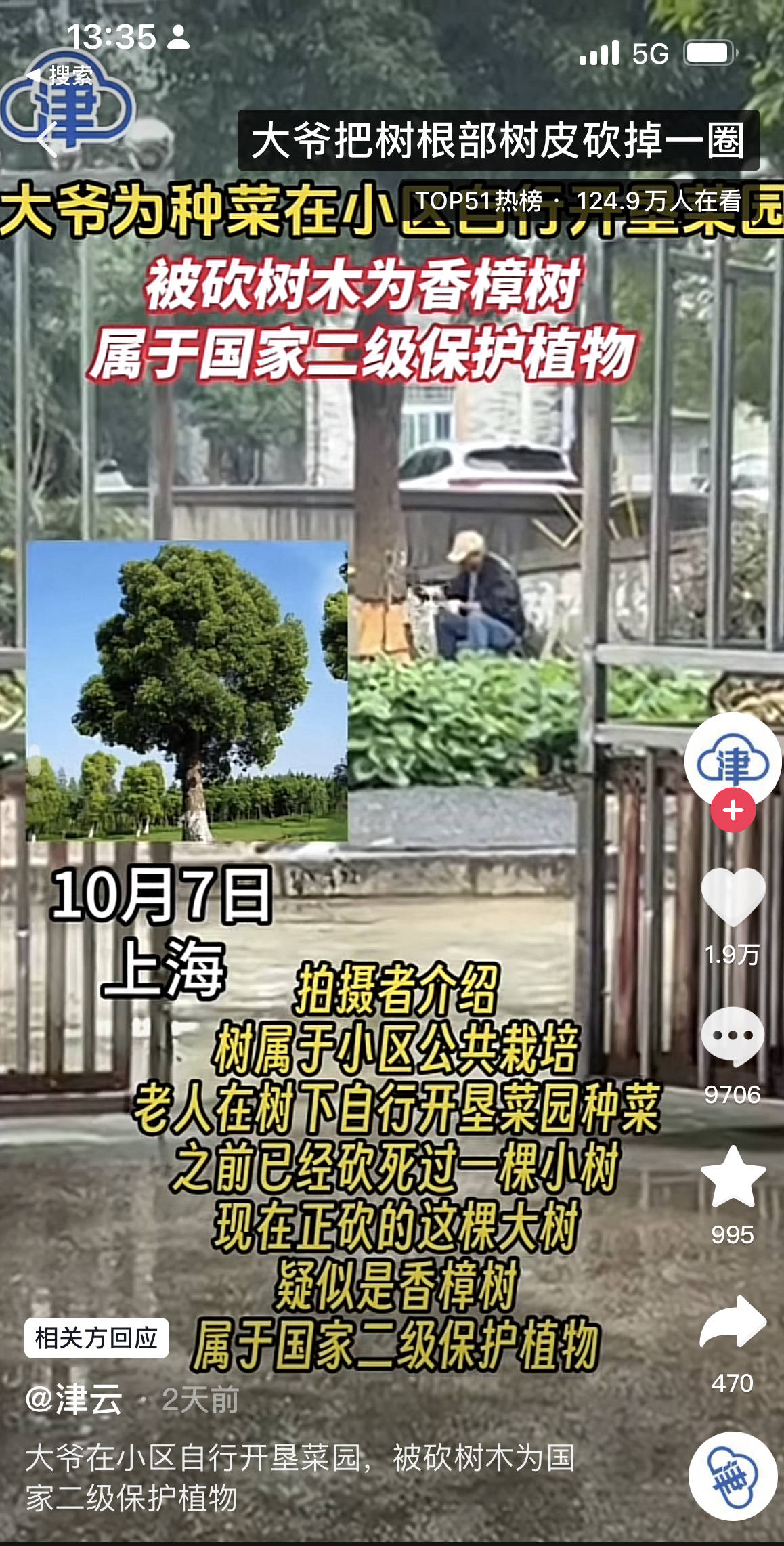 上海一七旬老人在小区砍香樟树开垦菜园？已口头警告，将救护树木-第1张图片-亚星国际官网