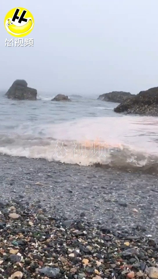 手机版赤潮海战游戏手机版