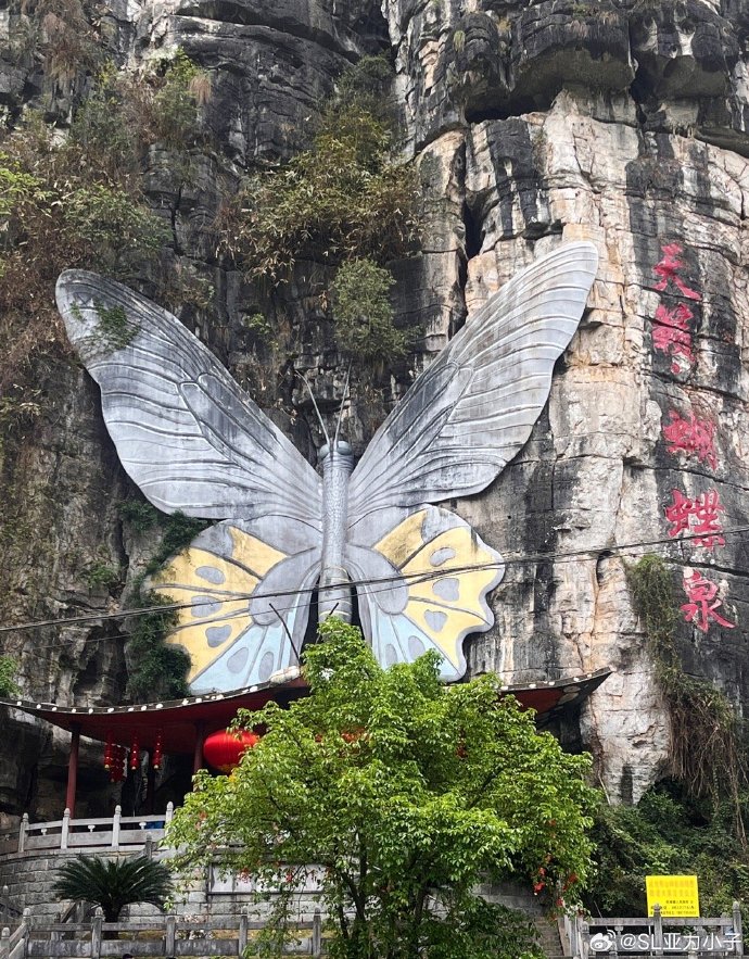柳州手机价格资讯柳州五菱小货车价格及图片-第2张图片-亚星国际官网
