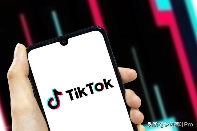 tiktok版下载安卓tiktok跨境电商官网入口-第2张图片-亚星国际官网