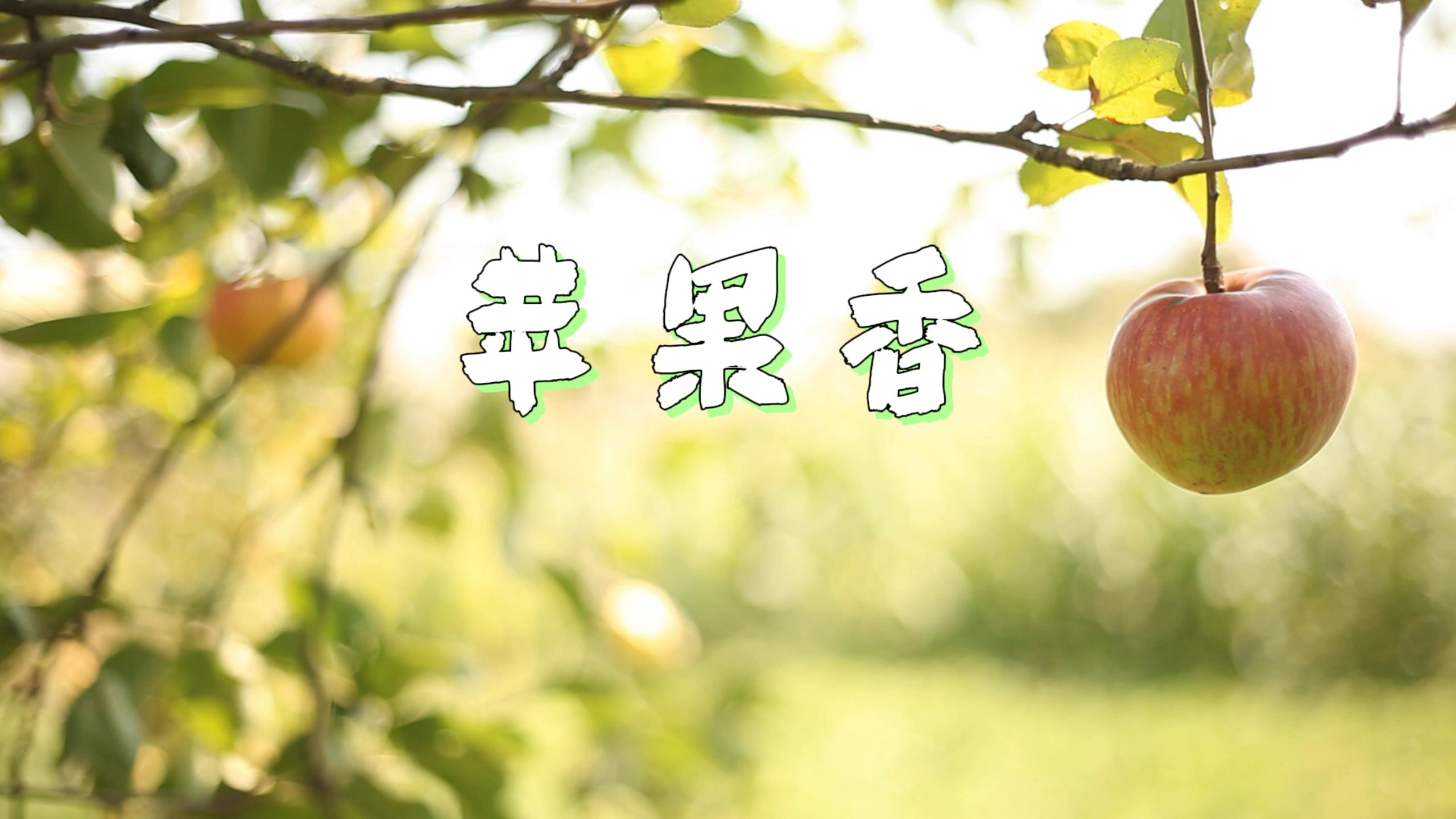 苹果版好兔视频好兔视频网页版官网入口-第1张图片-亚星国际官网