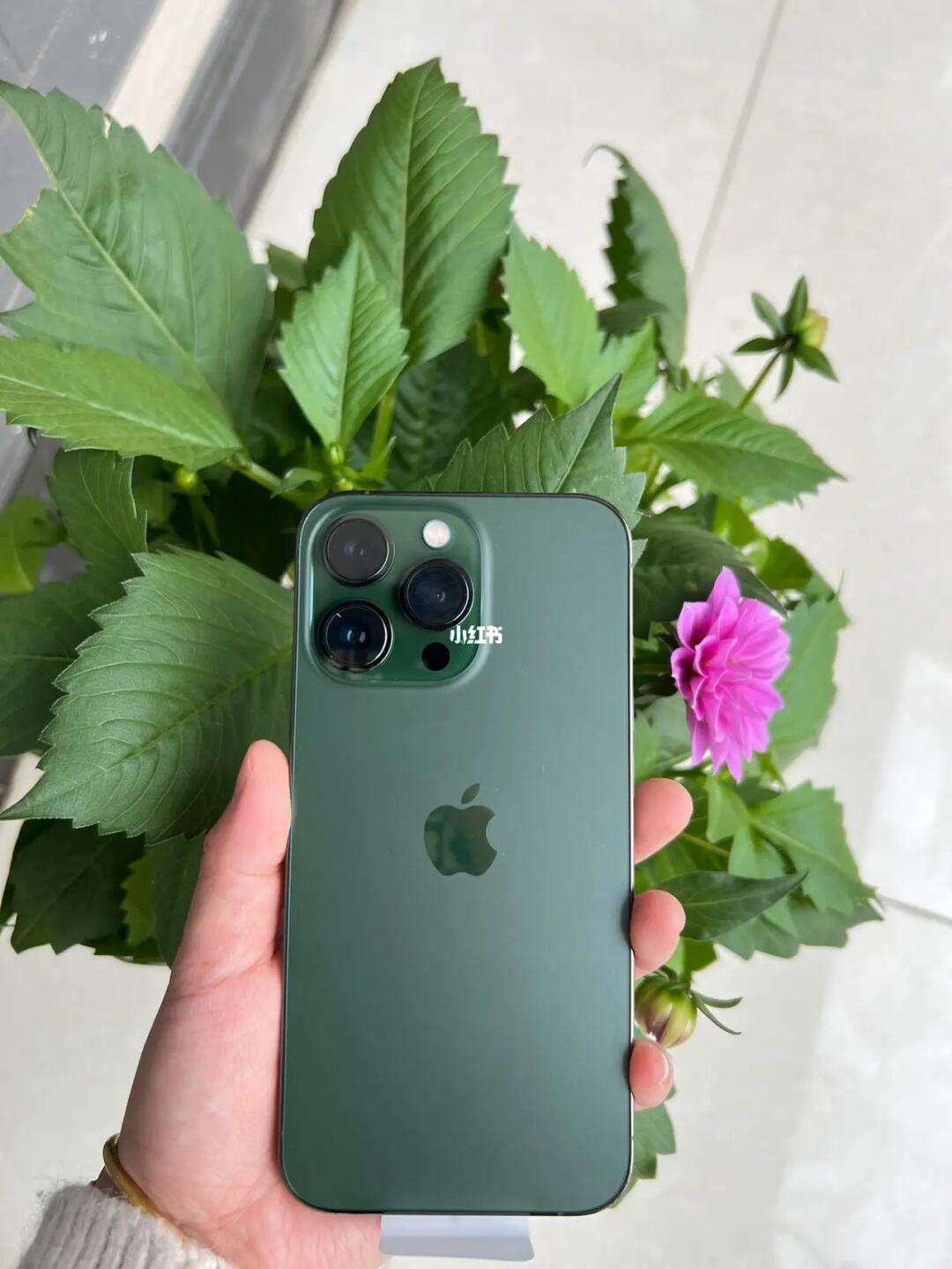 绿色版苹果13苹果13绿色版实拍