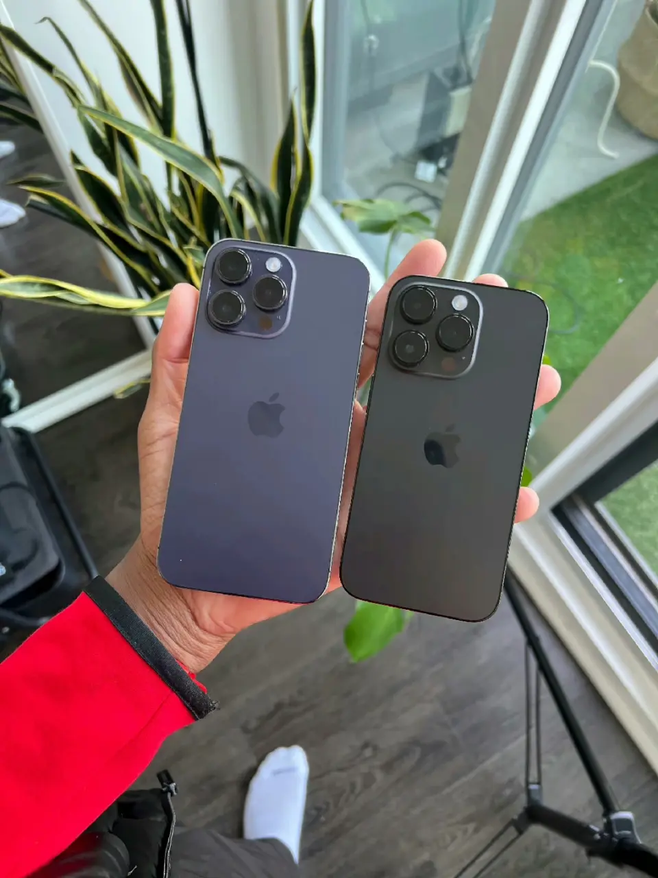 苹果手机巴西版机器苹果手机助手app下载安装