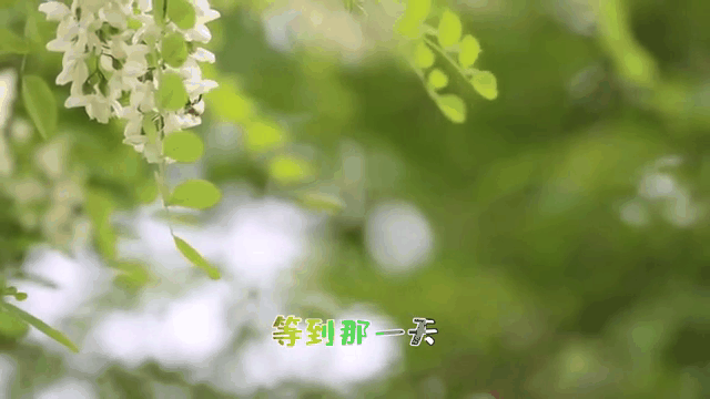 视频动态壁纸苹果版苹果怎么将相册视频变成动态壁纸-第1张图片-亚星国际官网