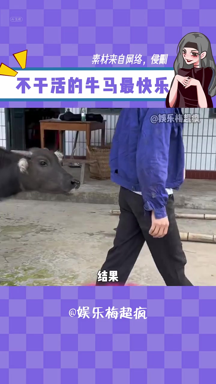 牛马视频安卓版大象tv在线观看的吗免费