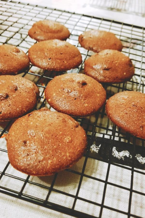 趣多多官方版下载安卓(趣多多官方版下载安卓手机)