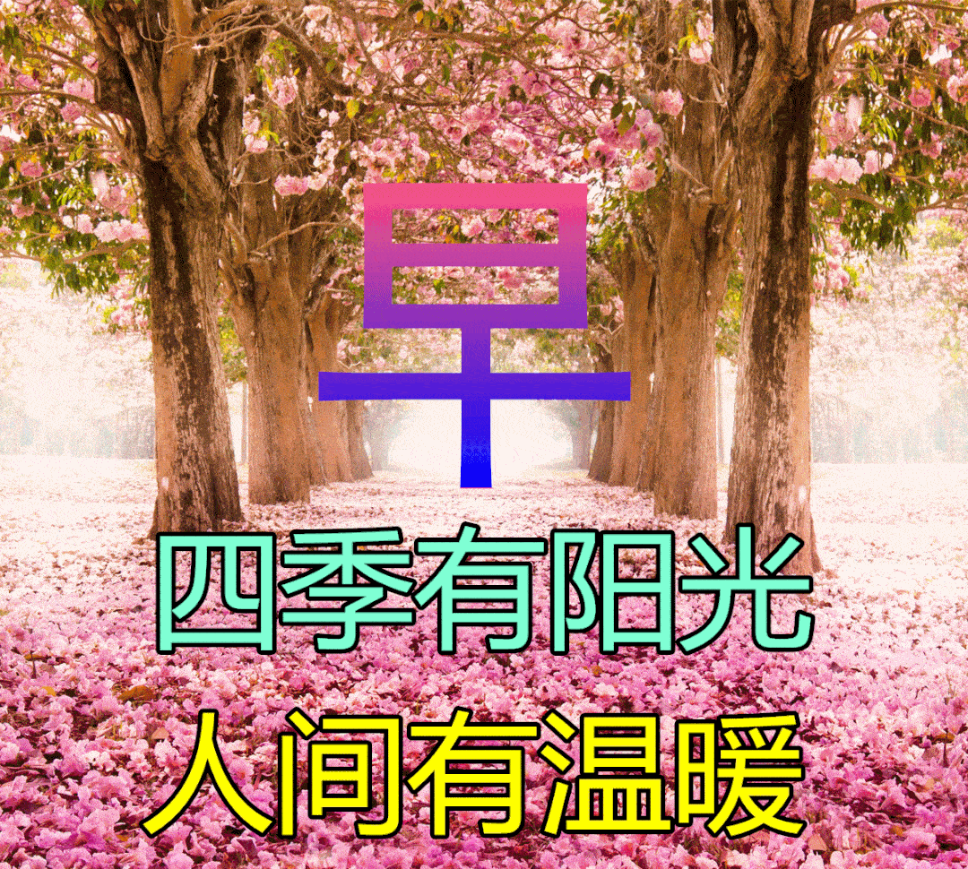 阳光四季动态壁纸安卓版(阳光四季动态壁纸安卓版下载)