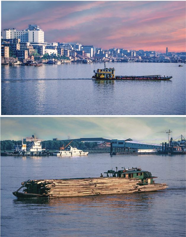 chinadaily手机版(chinadaily language)