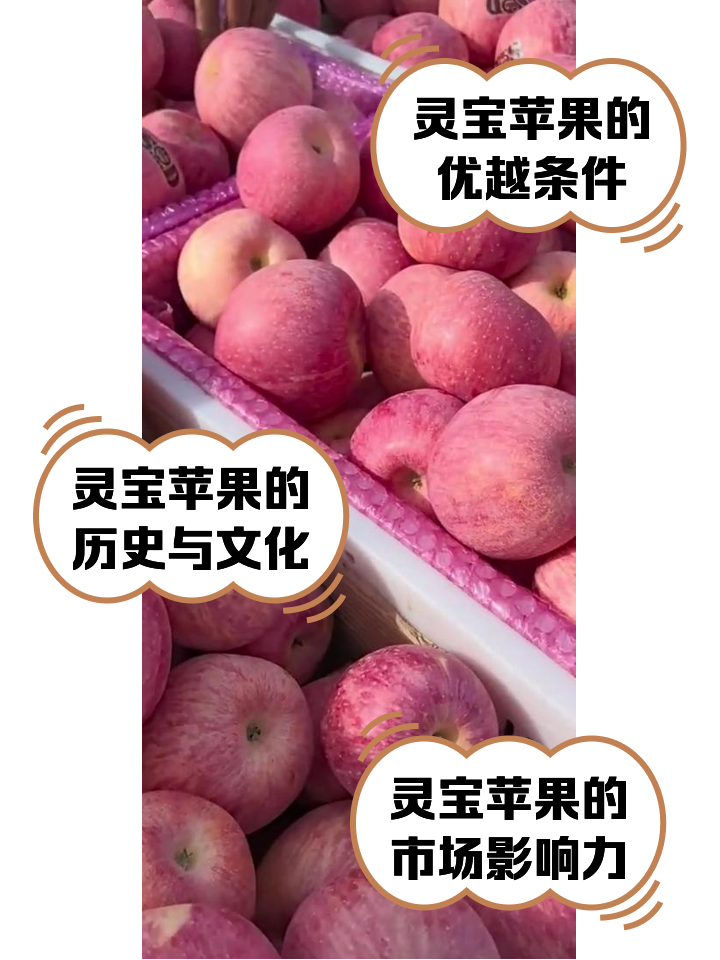 河南版苹果(河南苹果手机)-第5张图片-QuickQ官网