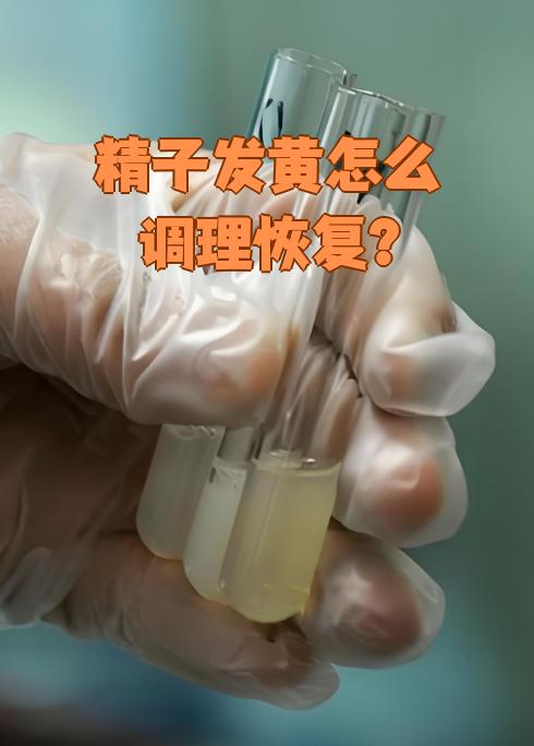 精子大战美女2手机版的简单介绍-第3张图片-QuickQ官网