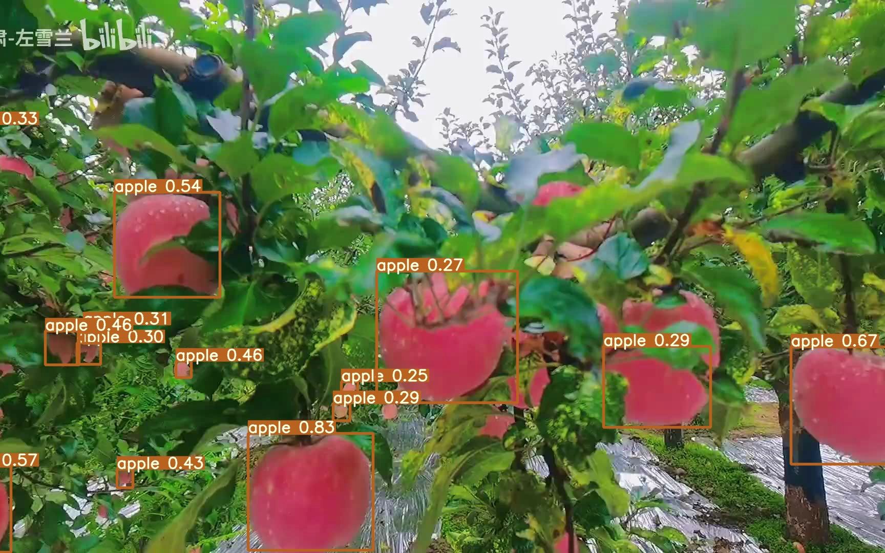 py助手苹果版(iospp助手官网)-第5张图片-QuickQ官网 py助手苹果版(iospp助手官网)-第5张图片-QuickQ官网