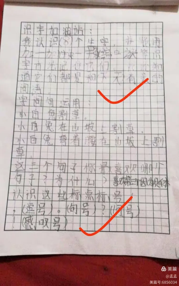 17作业手机版学生端(17作业网一起作业)-第3张图片-QuickQ官网