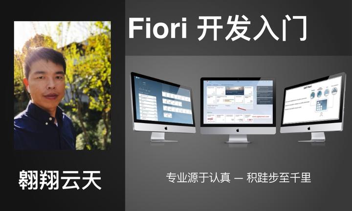 sapfiori苹果版(sapfioriclient安卓)-第5张图片-QuickQ官网