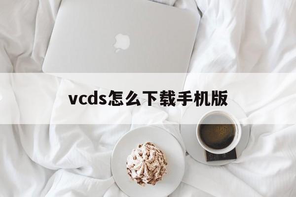 vcds怎么下载手机版(vcd光碟怎样下载到手机上)-第2张图片-QuickQ官网