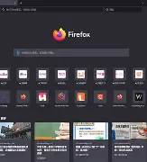 火狐手机版怎么玩(火狐手机版怎么玩游戏)-第3张图片-QuickQ官网